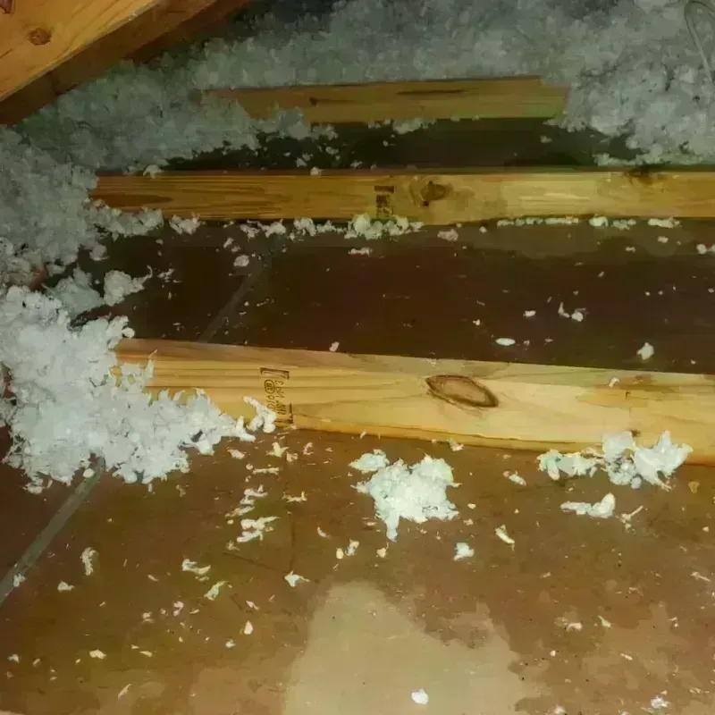 Attic Water Damage in Sheffield, IA