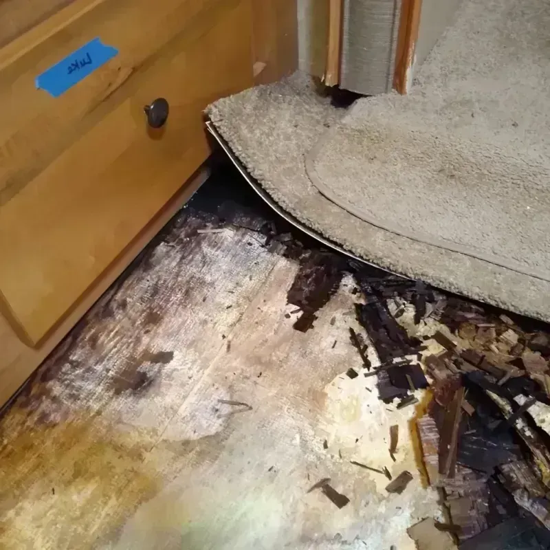 Wood Floor Water Damage in Sheffield, IA